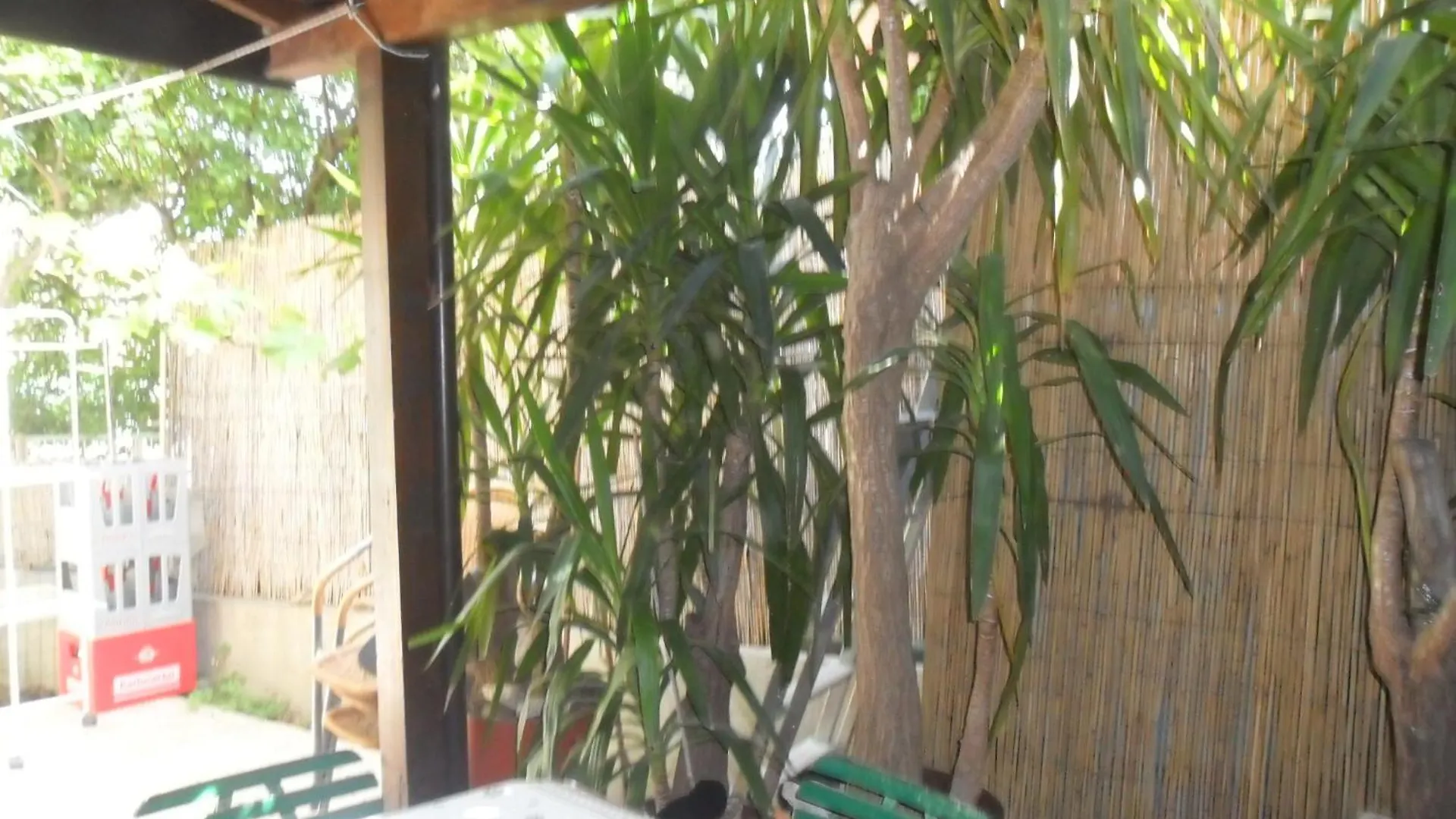 *** בית הארחה טרוגיר Apartmani Yucca קרואטיה